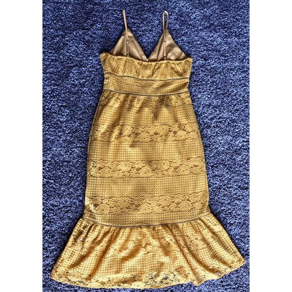 Beautiful NWT Francesca Lace Dress Size: L - Picture 5 of 5